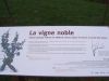 17_29 Solutre.jpg